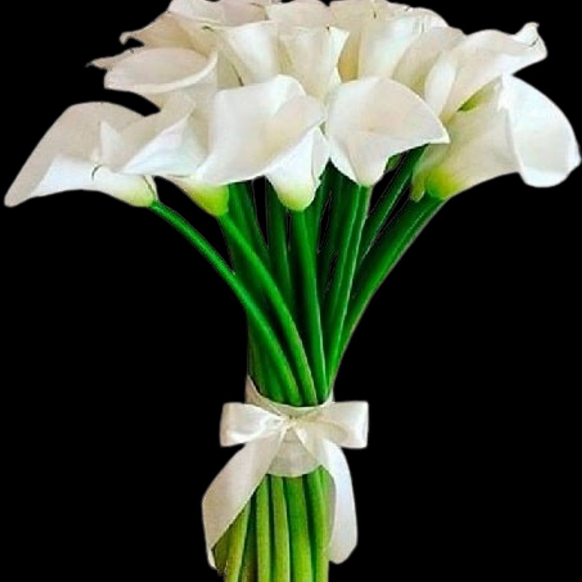 GENERICO - Ramo de 20 Calas Blancas