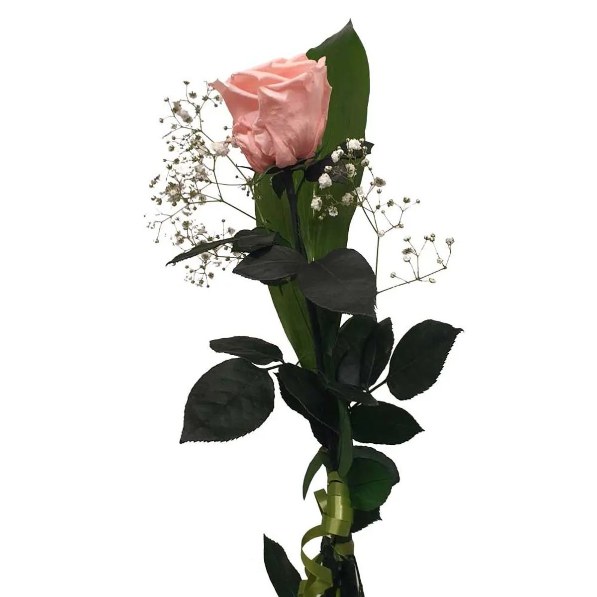 GENERICO - Rosa Rosada Individual