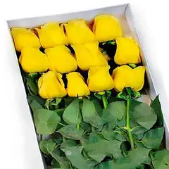 GENERICO - Caja 12 Rosas Amarillas