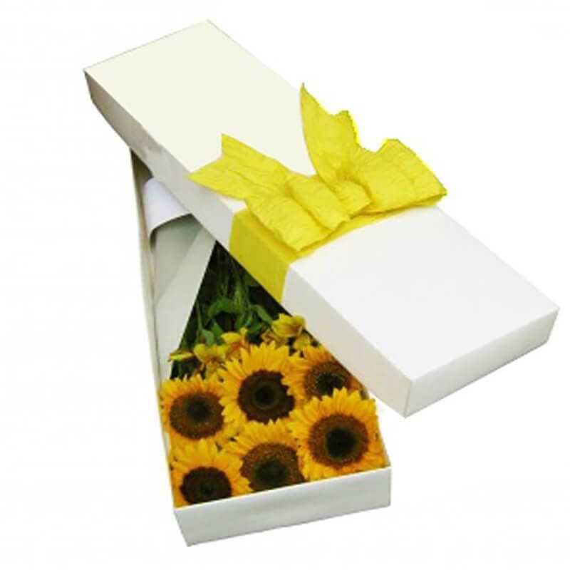 GENERICO - Caja de 6 Girasoles