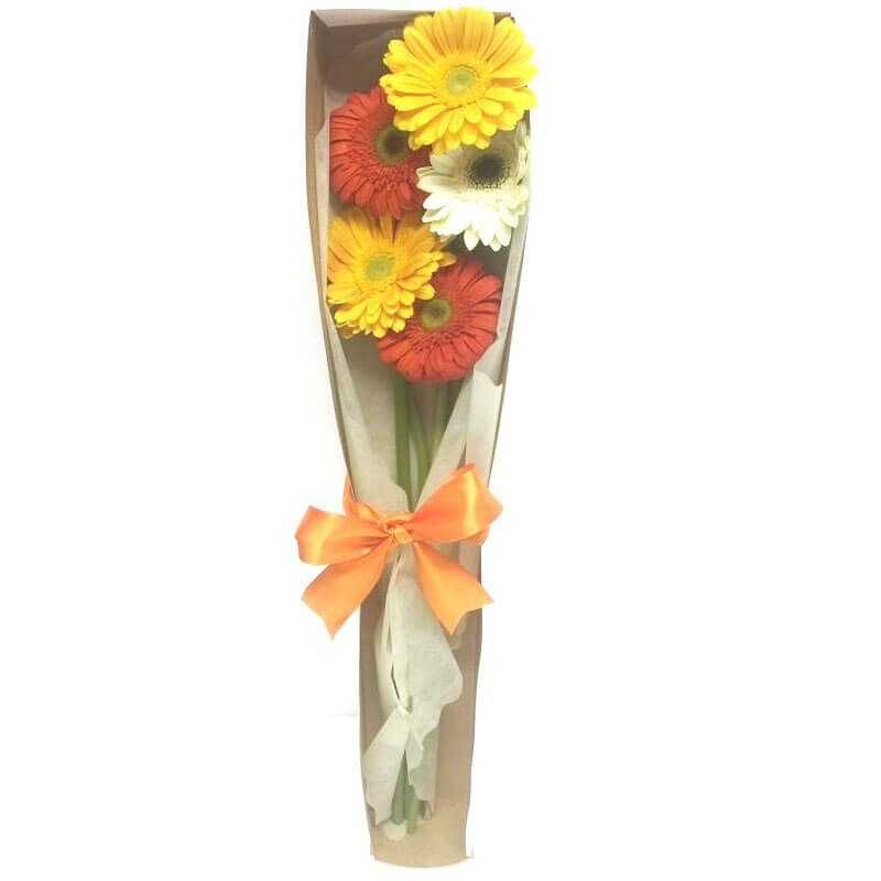 GENERICO - Caja de 5 Gerberas Primaveral