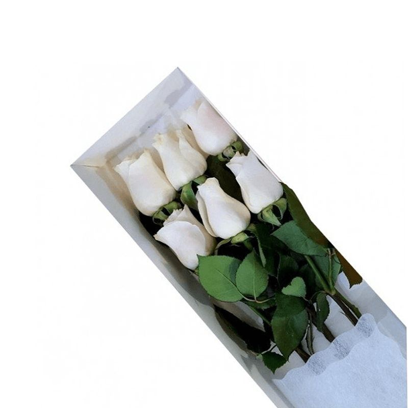 GENERICO - Caja de 6 Rosas Blancas
