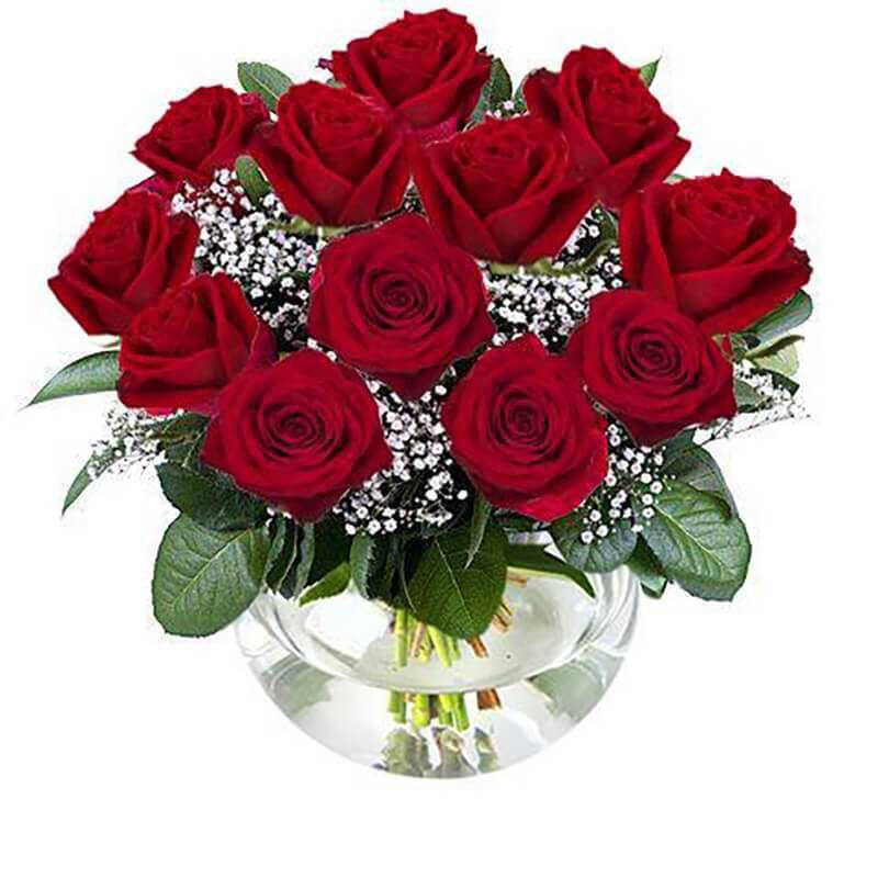 GENERICO - 12 Rosas Rojas en Pecera