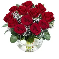 GENERICO - 12 Rosas Rojas en Pecera