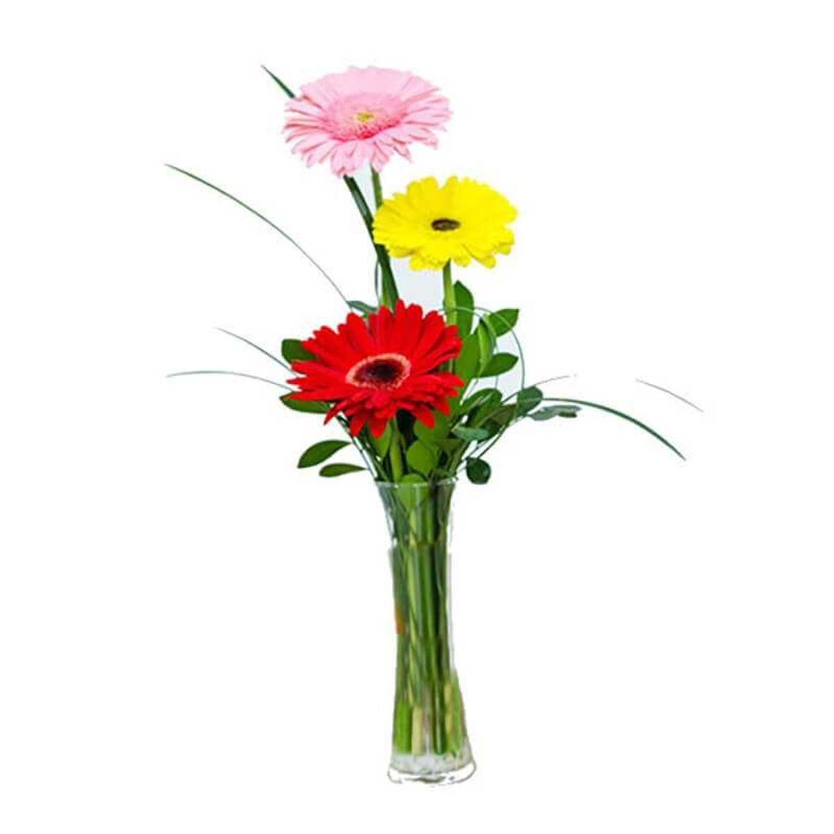 GENERICO - Florero de 3 Gerberas