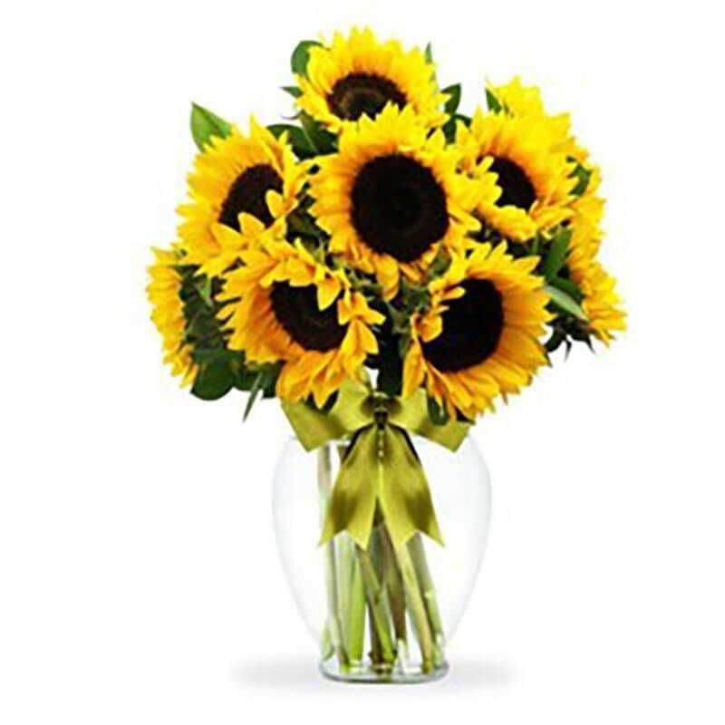 GENERICO - Florero con 10 Girasoles