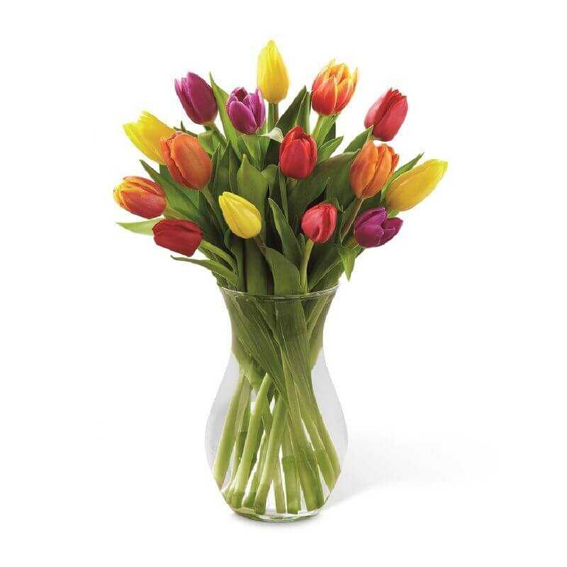GENERICO - Floral de 30 Tulipanes Primaveral