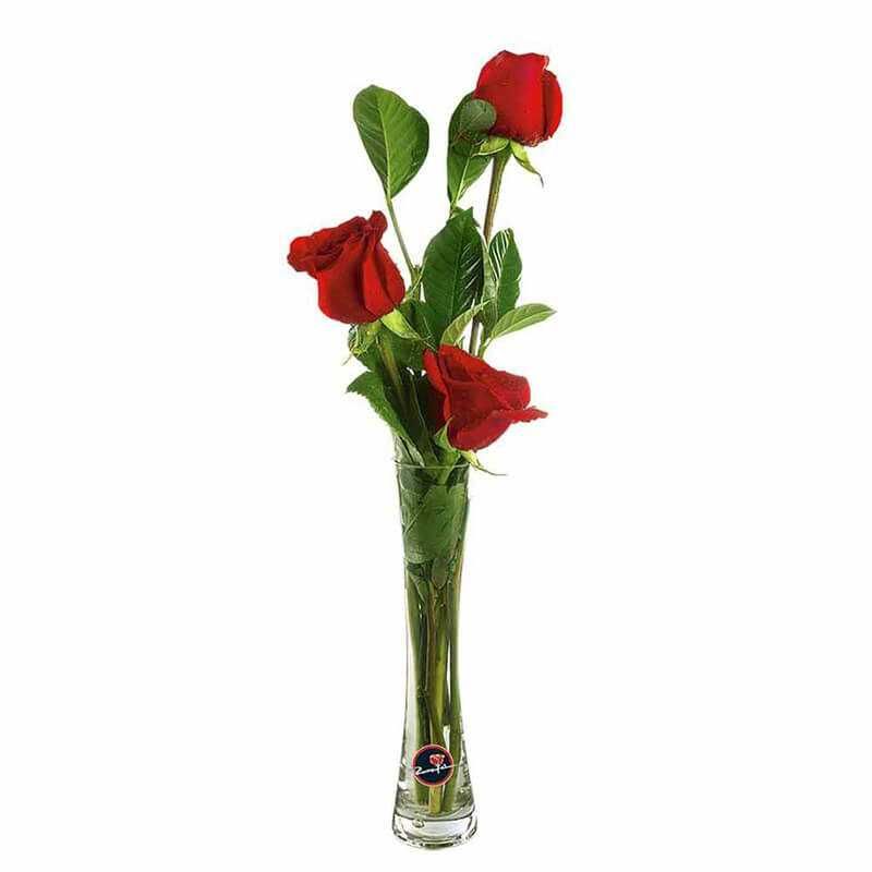 GENERICO - Florero con 3 Rosas