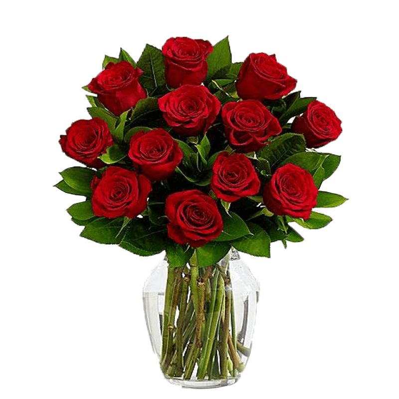 GENERICO - Florero de 12 Rosas Rojas