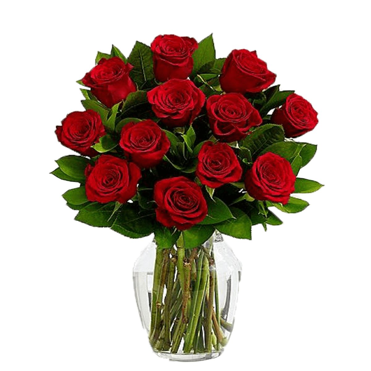 GENERICO - Florero de 12 Rosas Rojas