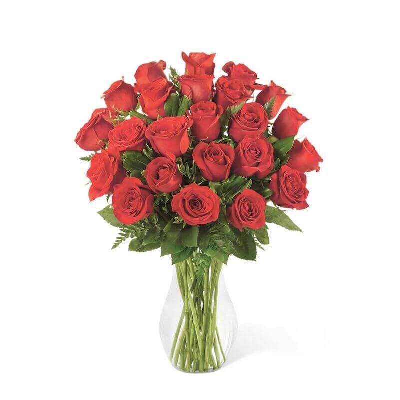 GENERICO - Florero de 24 Rosas Rojas