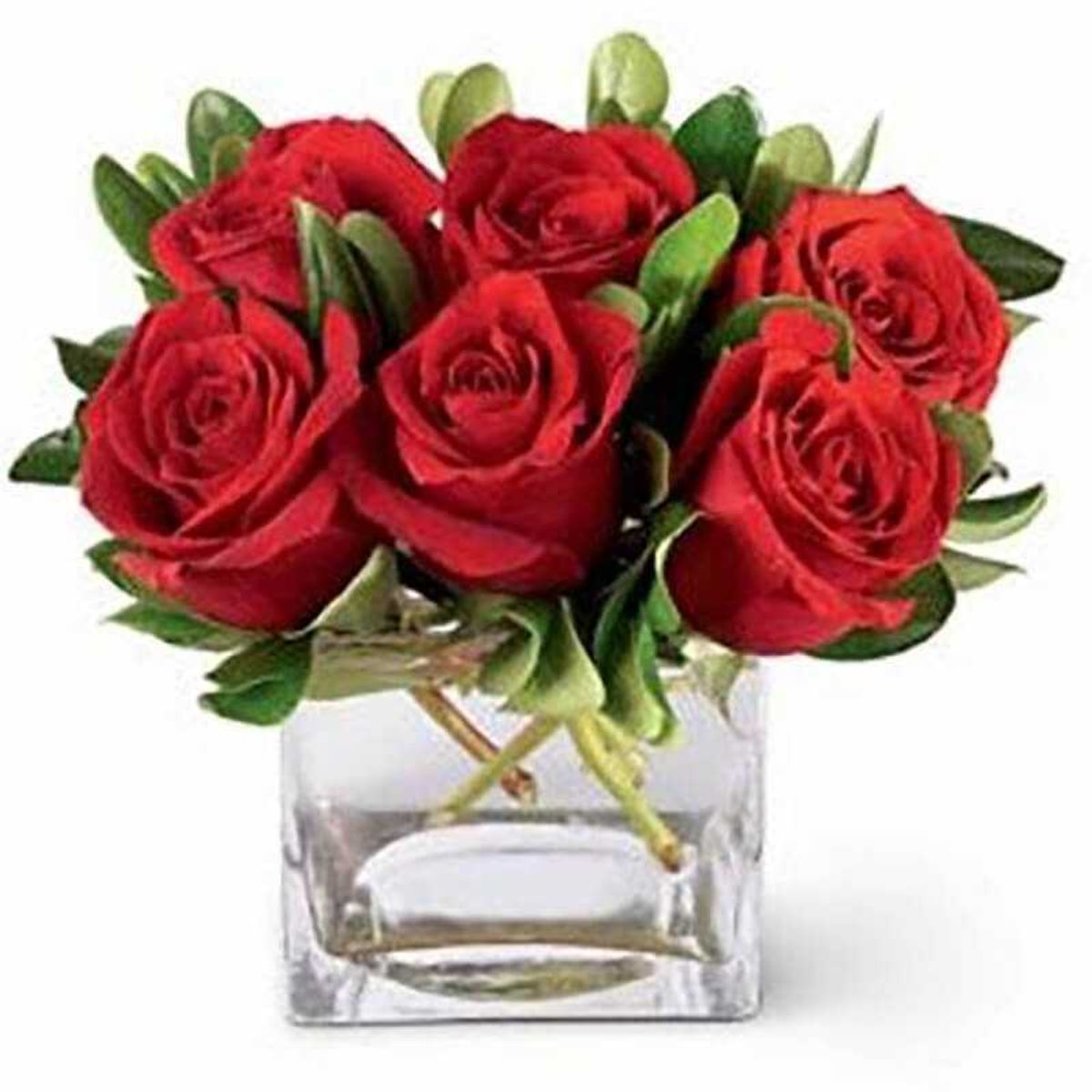GENERICO - Cubo de 6 Rosas Rojas