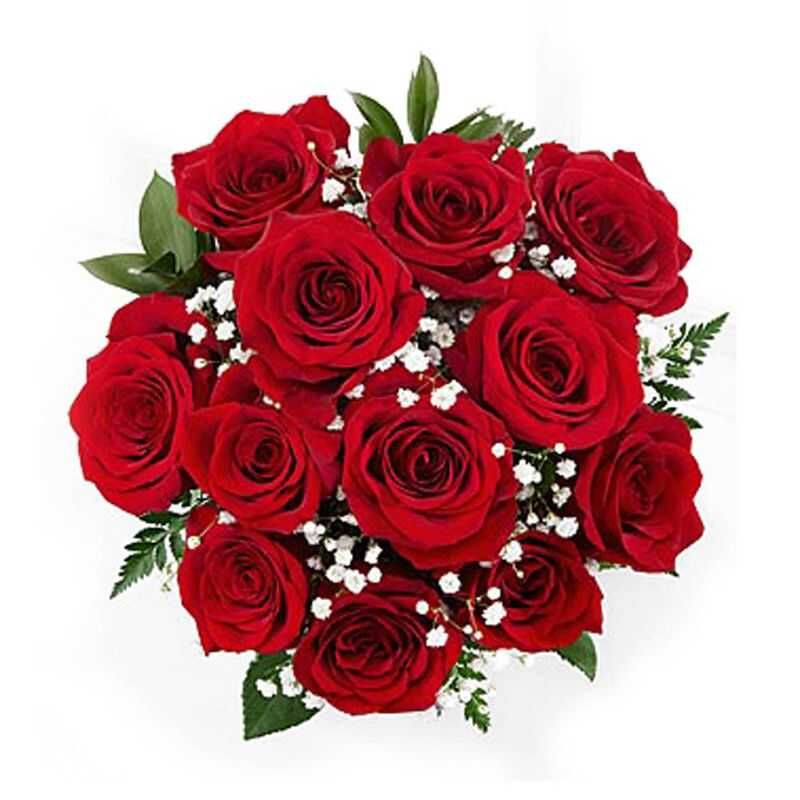 GENERICO - Bouquet 12 Rosas Rojas