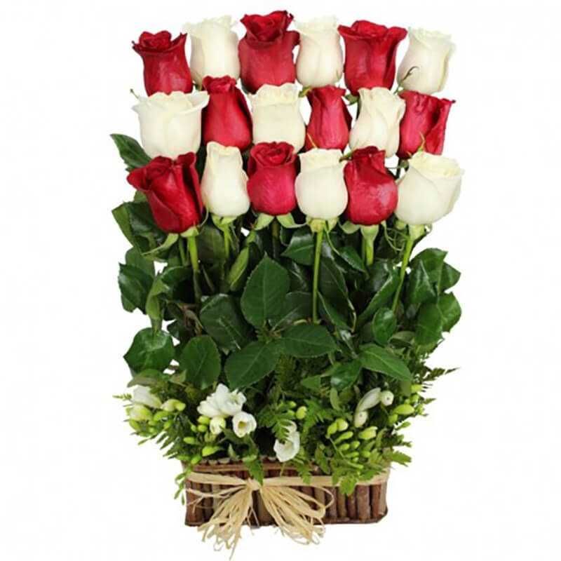 GENERICO - Base de 18 Rosas Blanco y Rojo