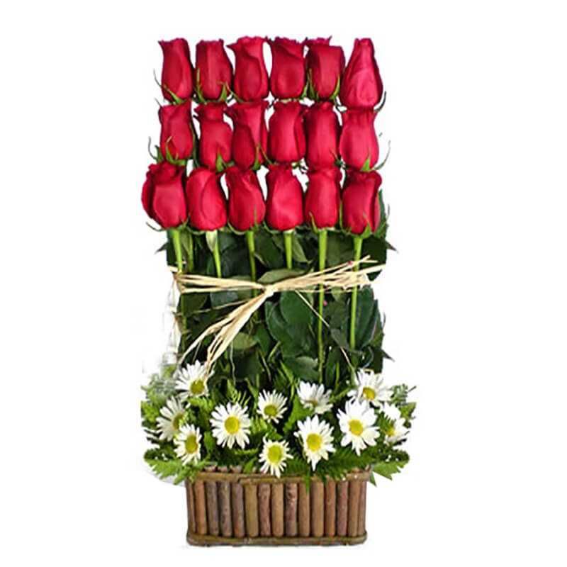 GENERICO - 18 Rosas Rojas en Escala