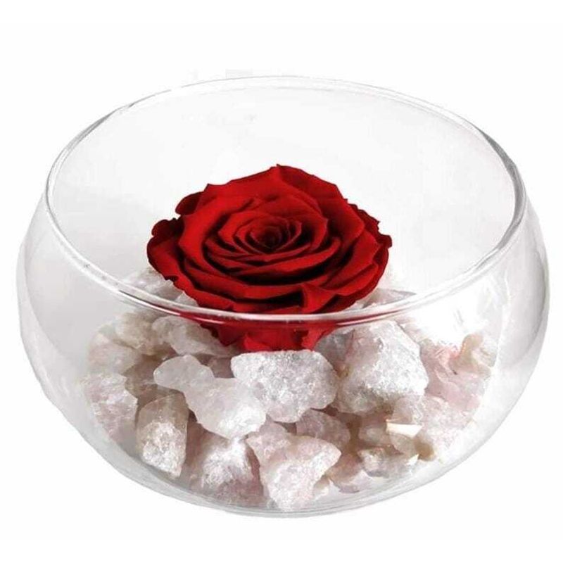 GENERICO - Rosa Roja Preservada en Pecera
