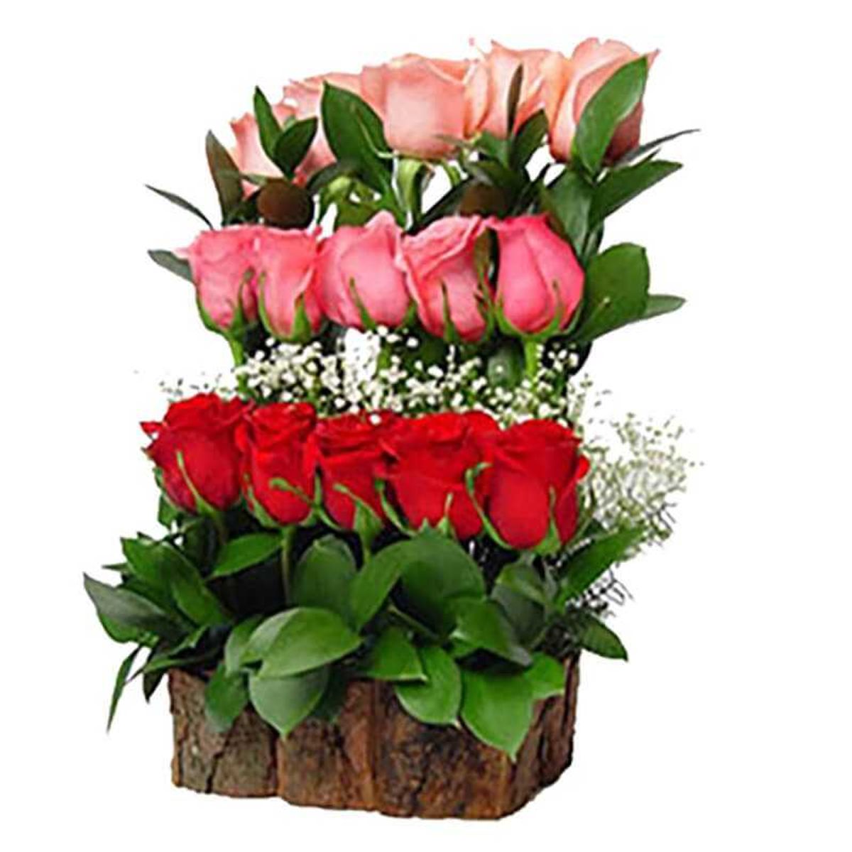 GENERICO - 15 Rosas en Escala Multicolor