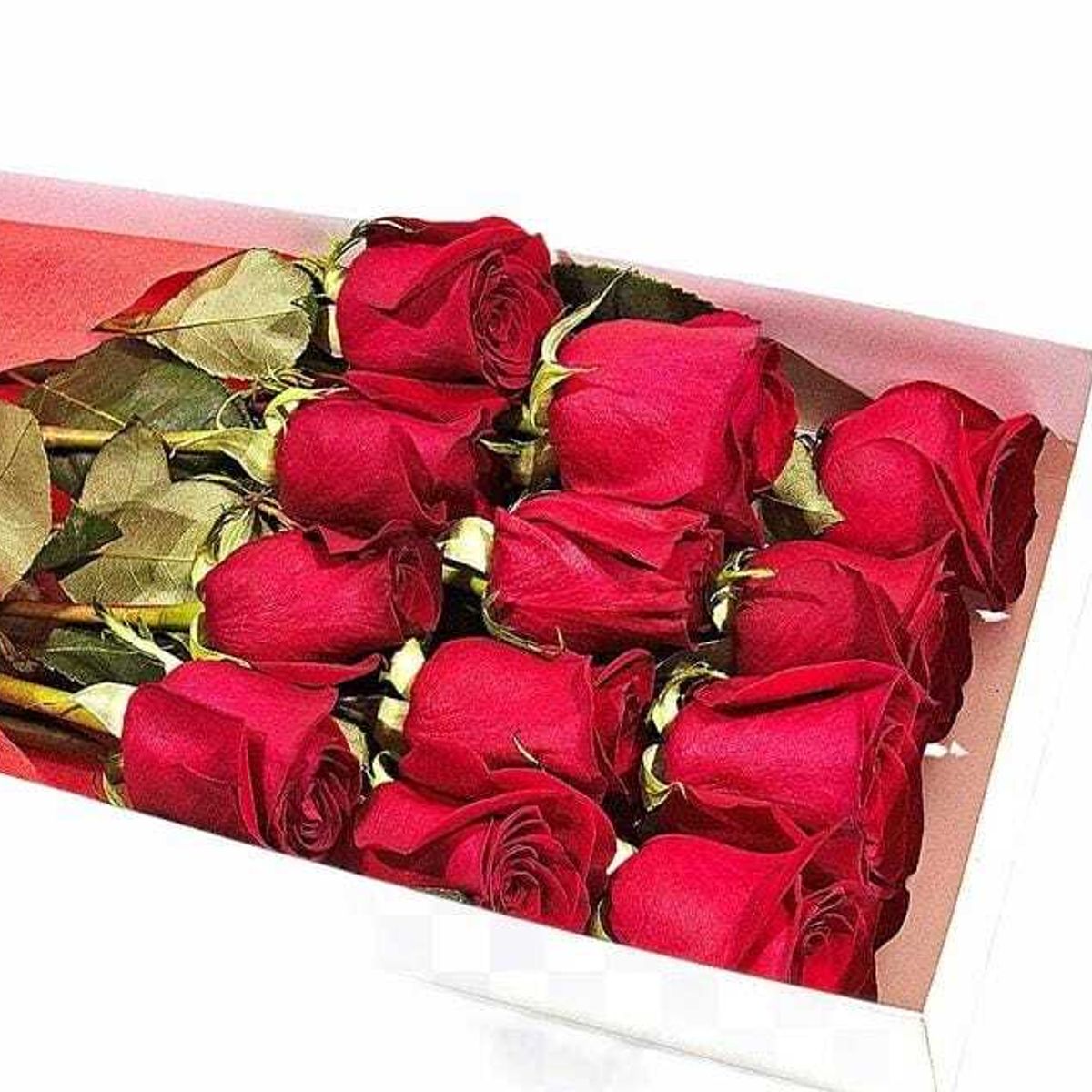 GENERICO - Caja 15 Rosas Rojas