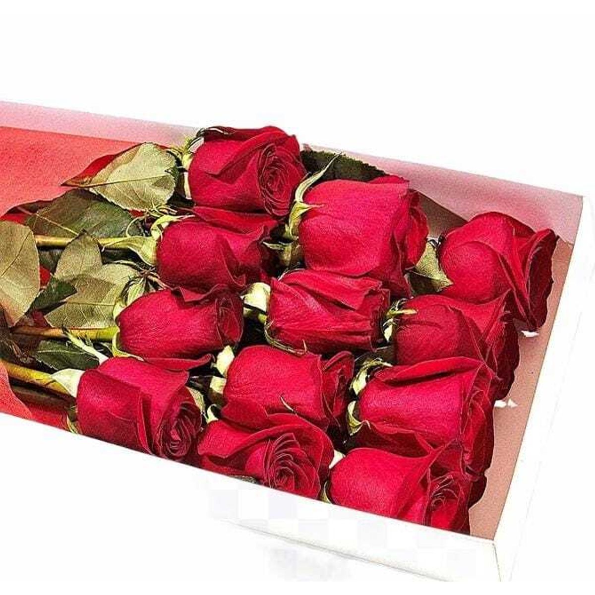 GENERICO - Caja 15 Rosas Rojas