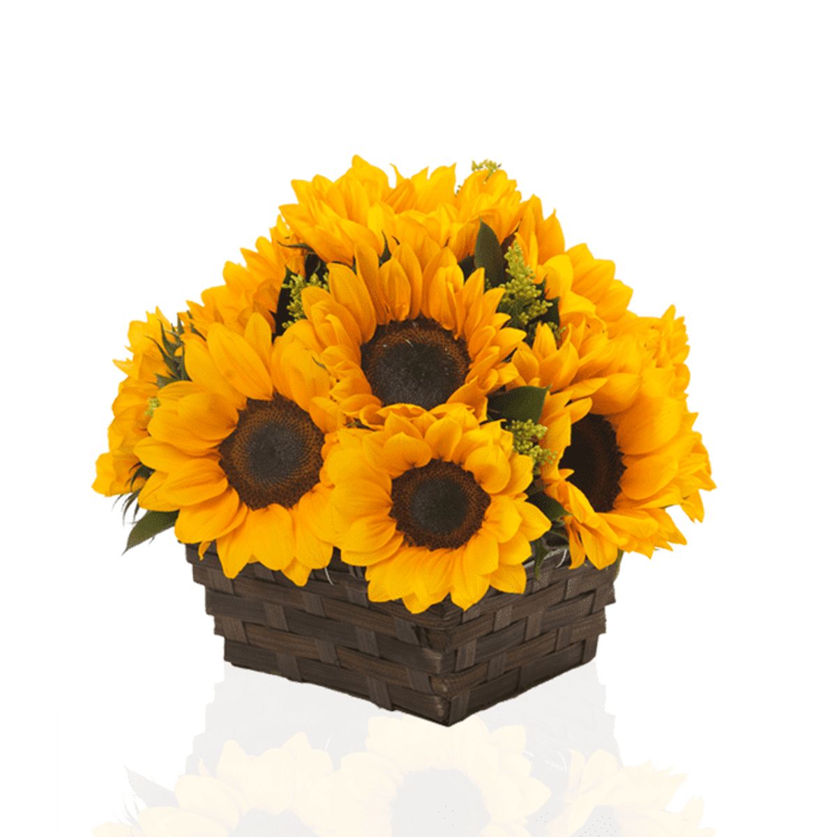 GENERICO - Base Cuadrada de 10 Girasoles