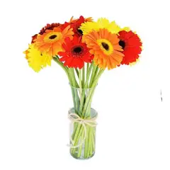 GENERICO - Florero Cilindro de 10 Gerberas