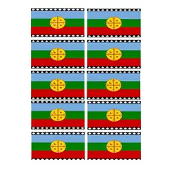 GENERICO - Pack 10 Bandera Mapuche Chilena Bandera Chile Mediana 90x145