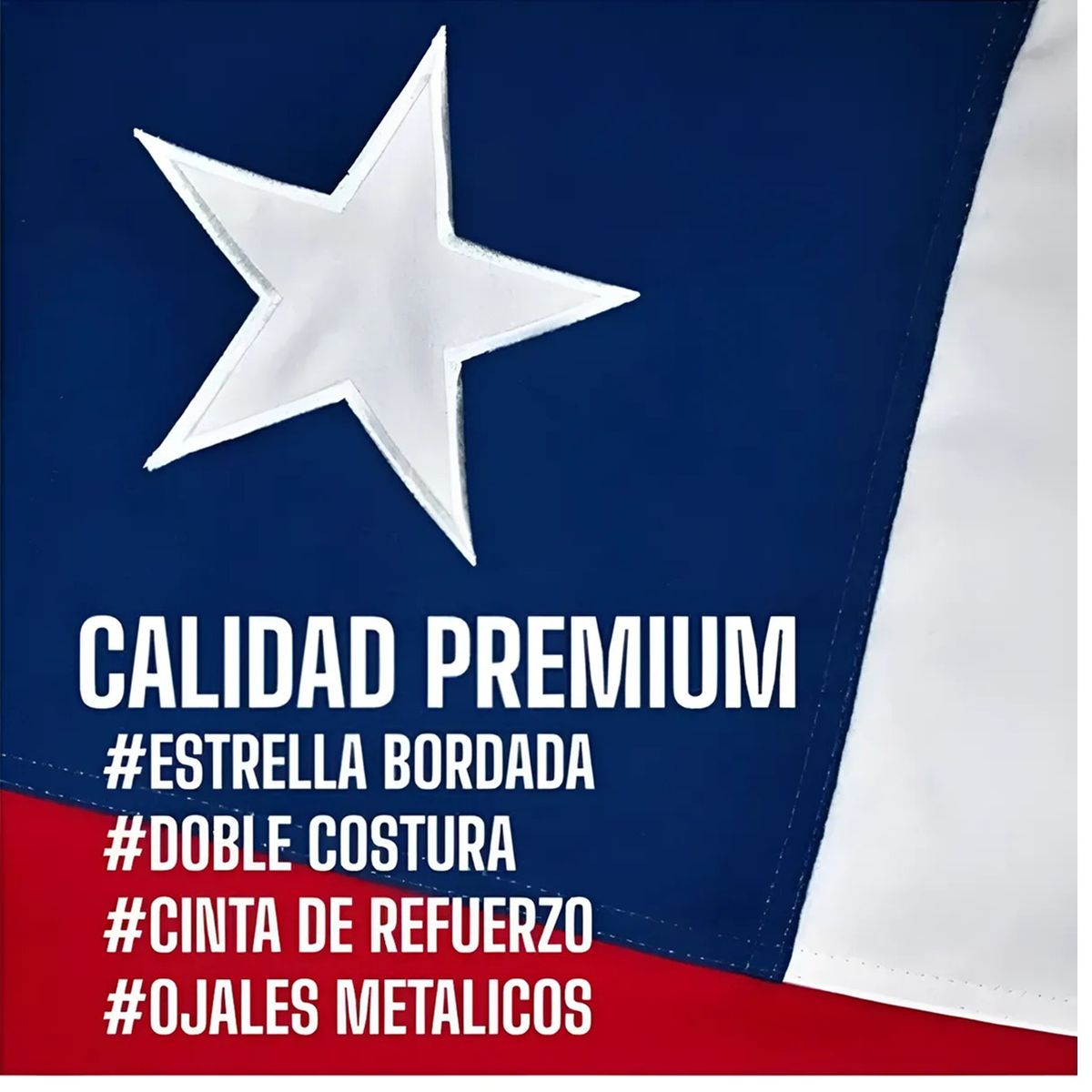 GENERICO - Bandera Chile Chilena Banderas Bordada Reforzada 90 X 60 Cm
