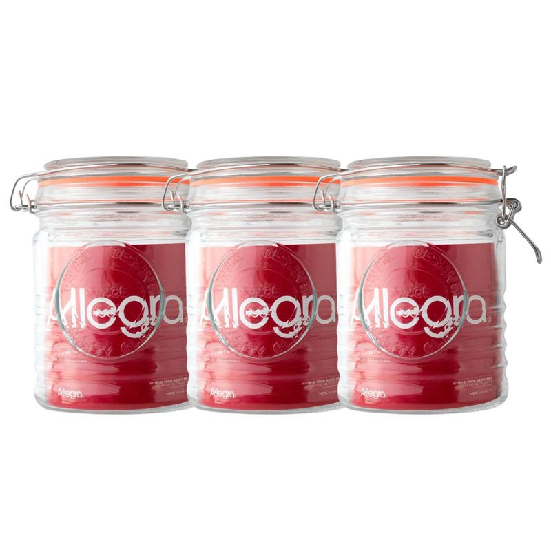 ALLEGRA - Set 3 Frascos Con Tapa De Vidrio Hermetica De 750mL Allegra