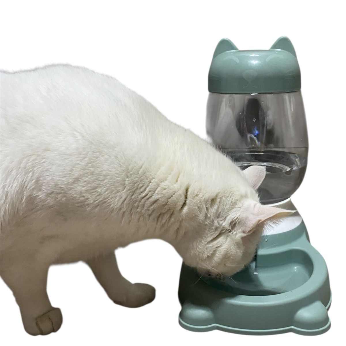 GENERICO - Dispensador De Agua Mascotas Perro Gato 2L