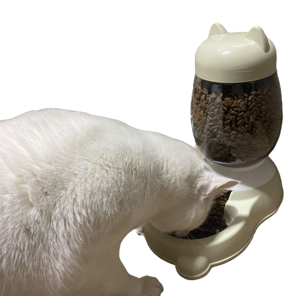 GENERICO - Dispensador Para Comida Automático - Perro Gato 1,1 kg