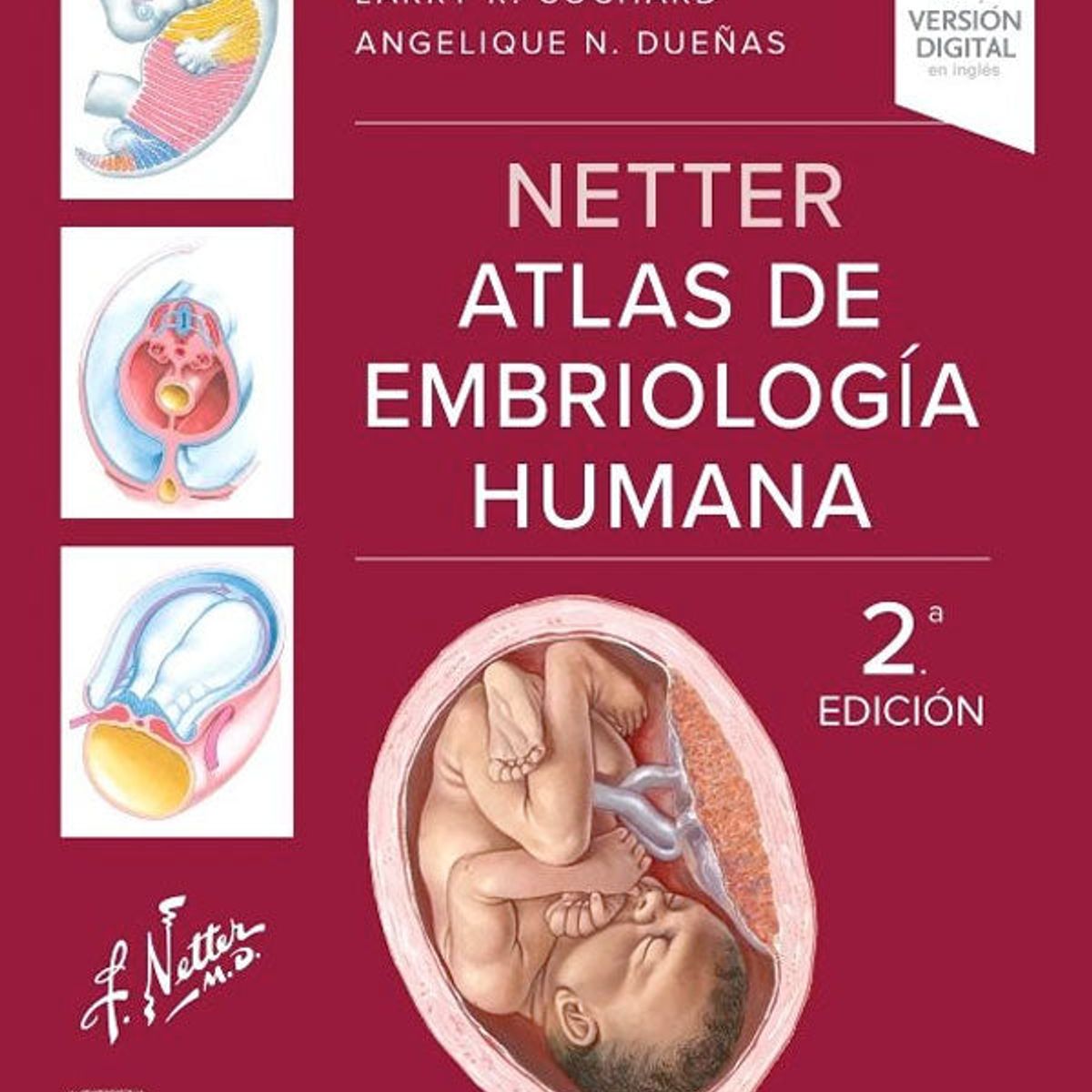 EDITORIAL MEDITERRANEO - Libro Netter Atlas de embriología humana 2ª Ed.
