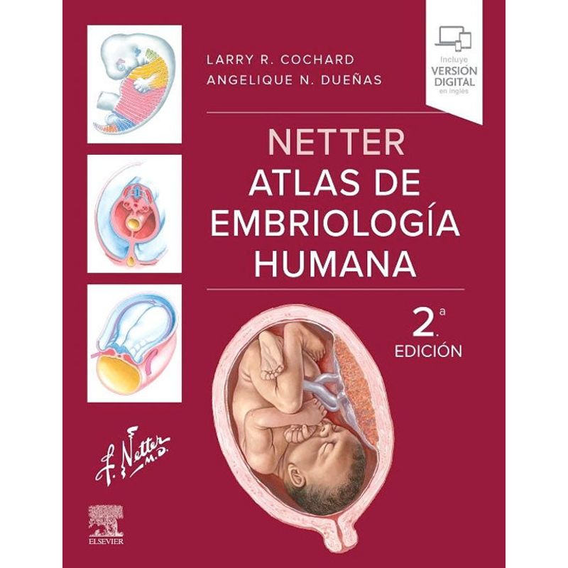EDITORIAL MEDITERRANEO - Libro Netter Atlas de embriología humana 2ª Ed.