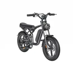 SHENGTE - E-Bike DYZ Dual Motor 3000w