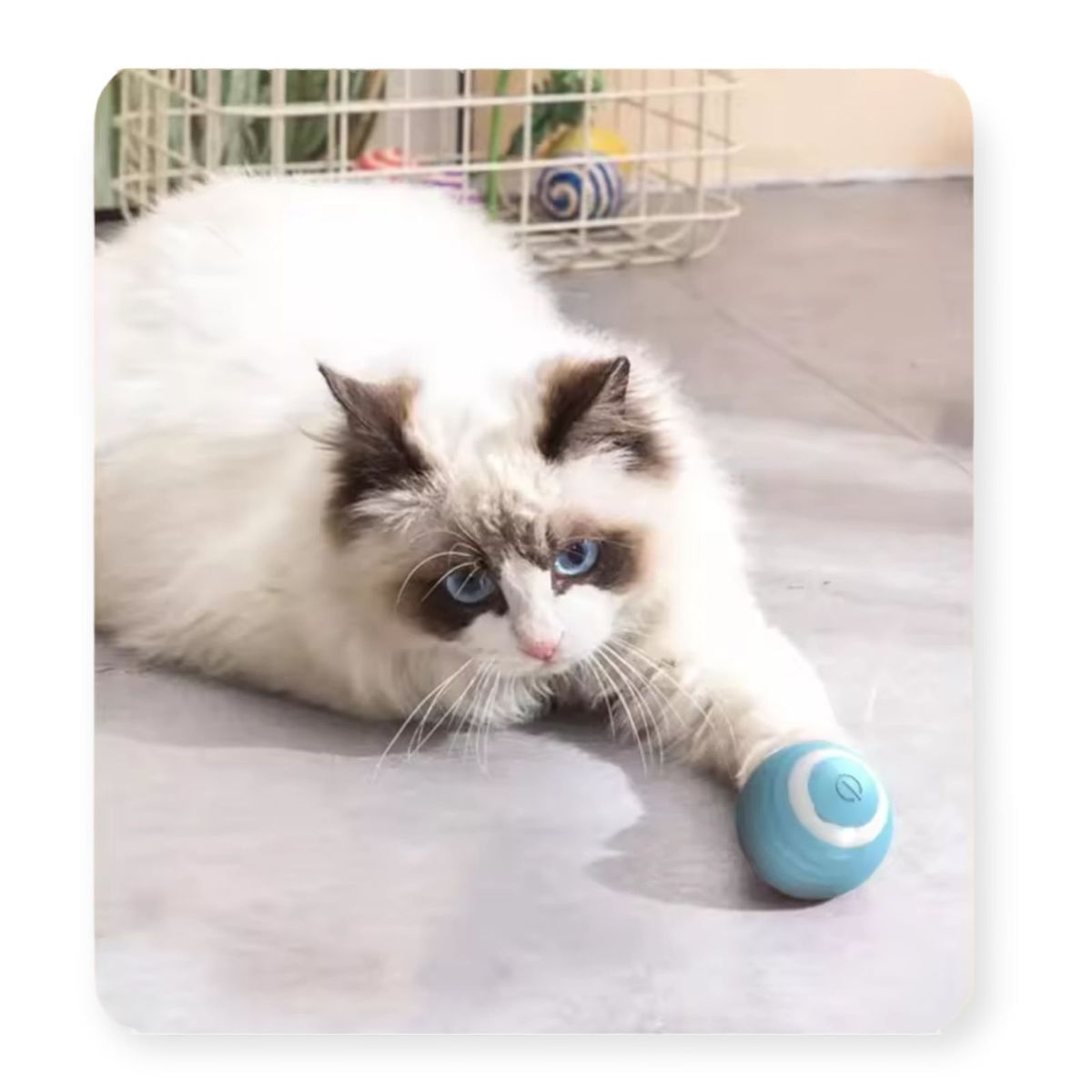 GENERICO - Pet Gravity Juguete Gato Bola Interactivo Inteligente Rosa