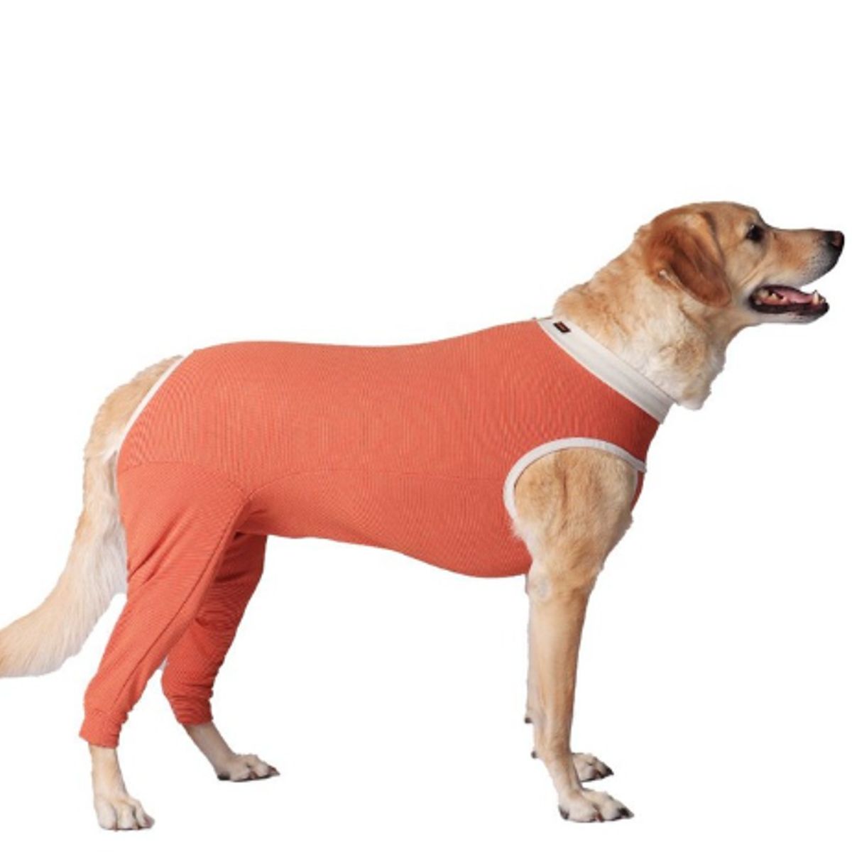 KIMBA - BodyCobre® Kimba Posterior- Talla 8 (17 - 21 Kg)