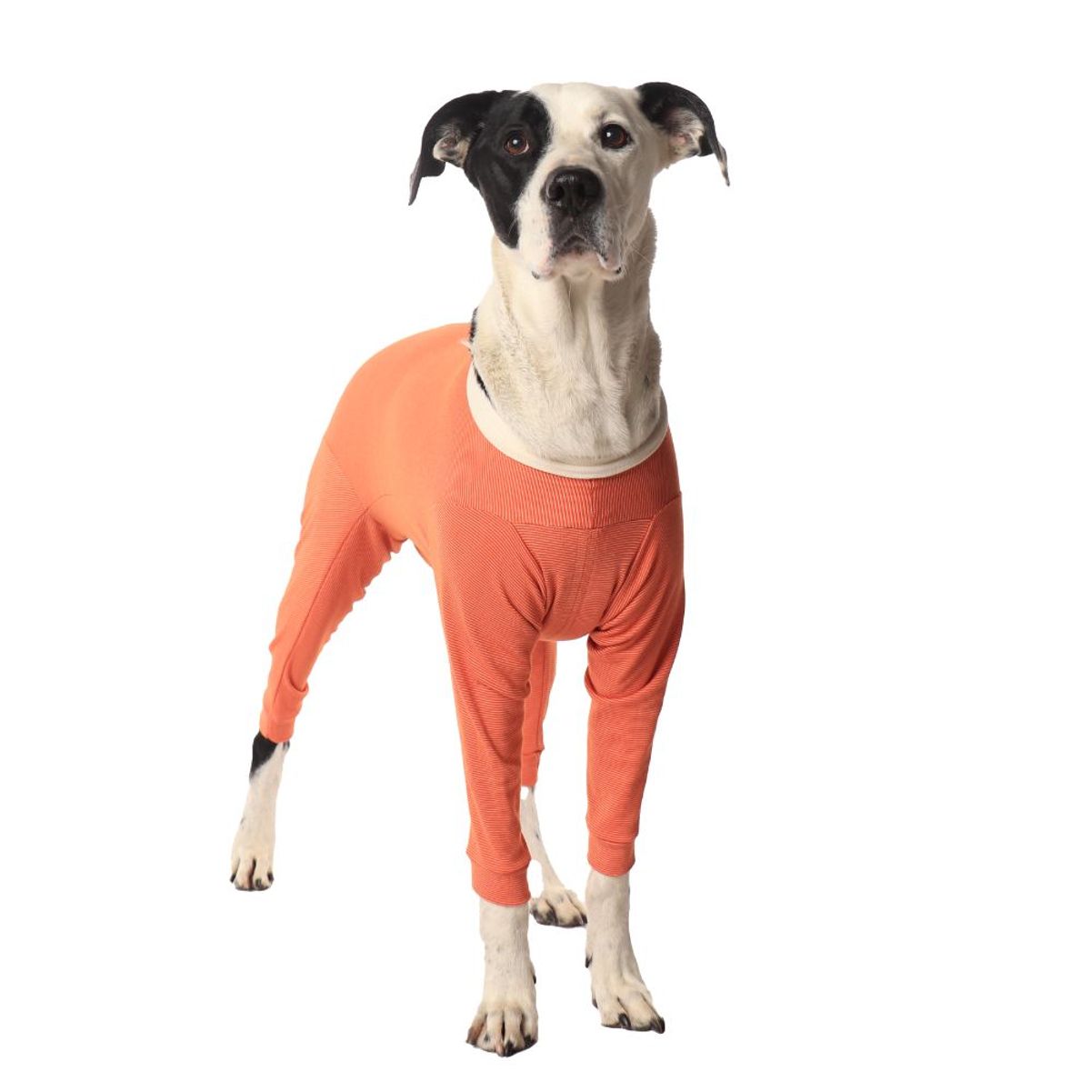 KIMBAVET - BodyCobre® Kimba Completo-Talla 00 (0 a 1,5kg)