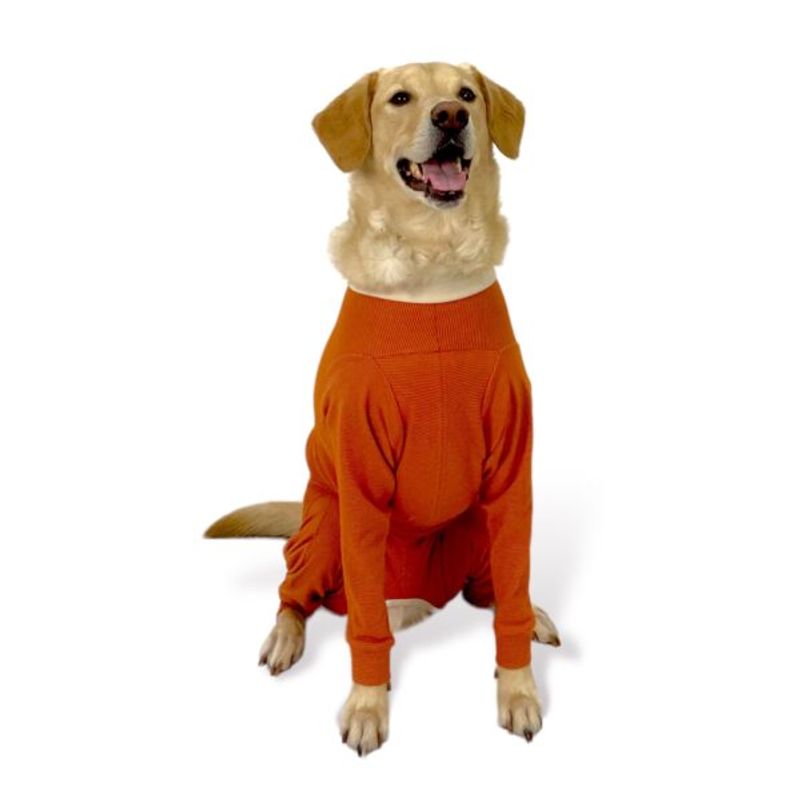 KIMBAVET - BodyCobre® Kimba Completo - Talla 14 (45 - 50kg)