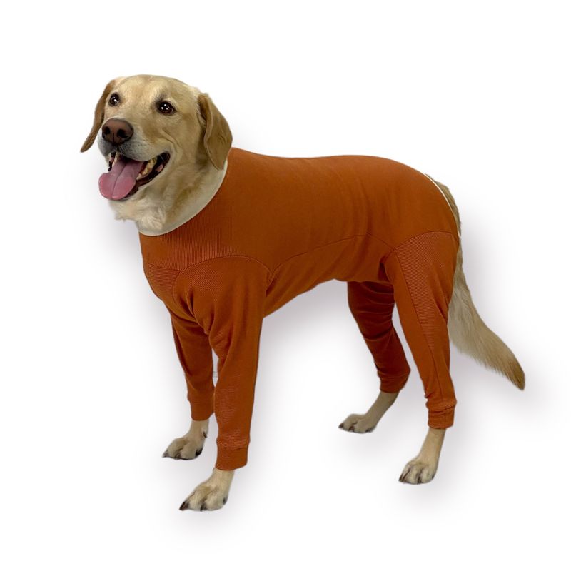 KIMBAVET - Body Cobre Kimba Completo -  Talla 2 (3,5 - 4,5kg)