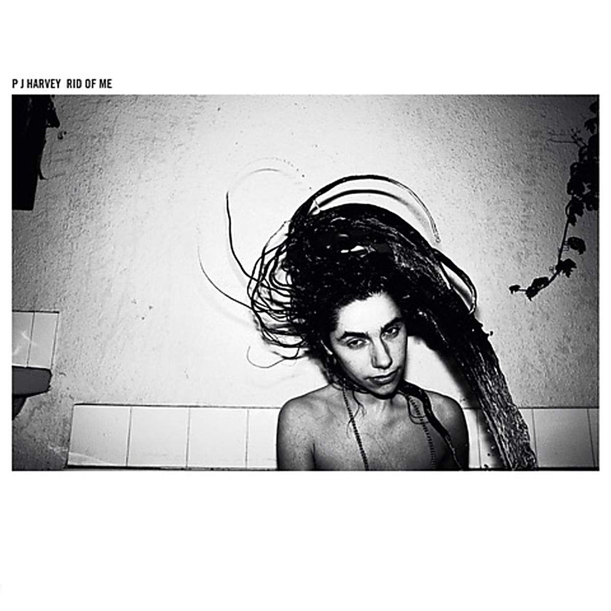 ISLAND - PJ Harvey -Rid Of Me- Vinilo