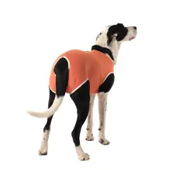 KIMBAVET - BodyCobre® Kimba Castración Macho - Talla 13 (45 - 50 Kg)