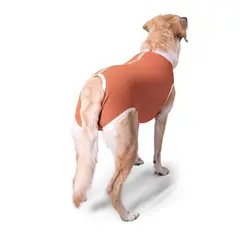 KIMBAVET - BodyCobre® Kimba Castración Macho - Talla 14 (45 - 50 Kg)