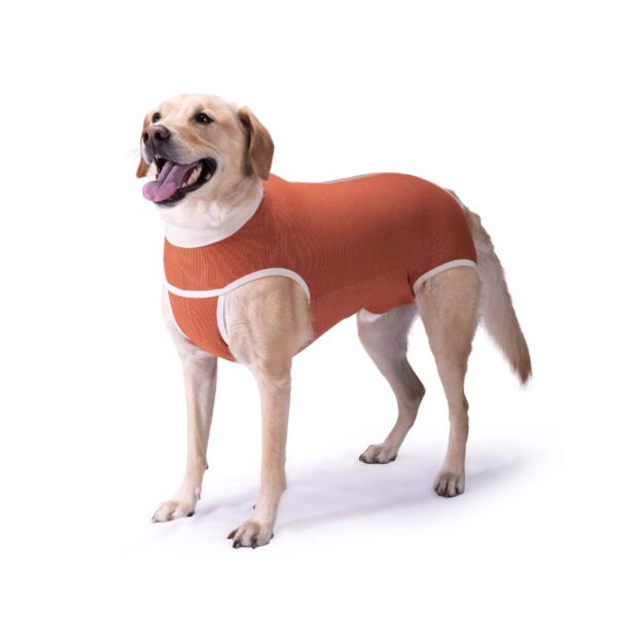 KIMBAVET - BodyCobre® Kimba Castración Macho - Talla 15 (50 - 55 Kg)