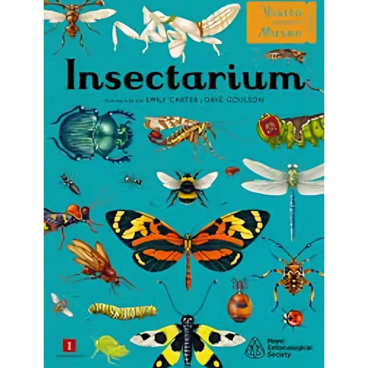 TOP10BOOKS - LIBRO Insectarium - Insectarium