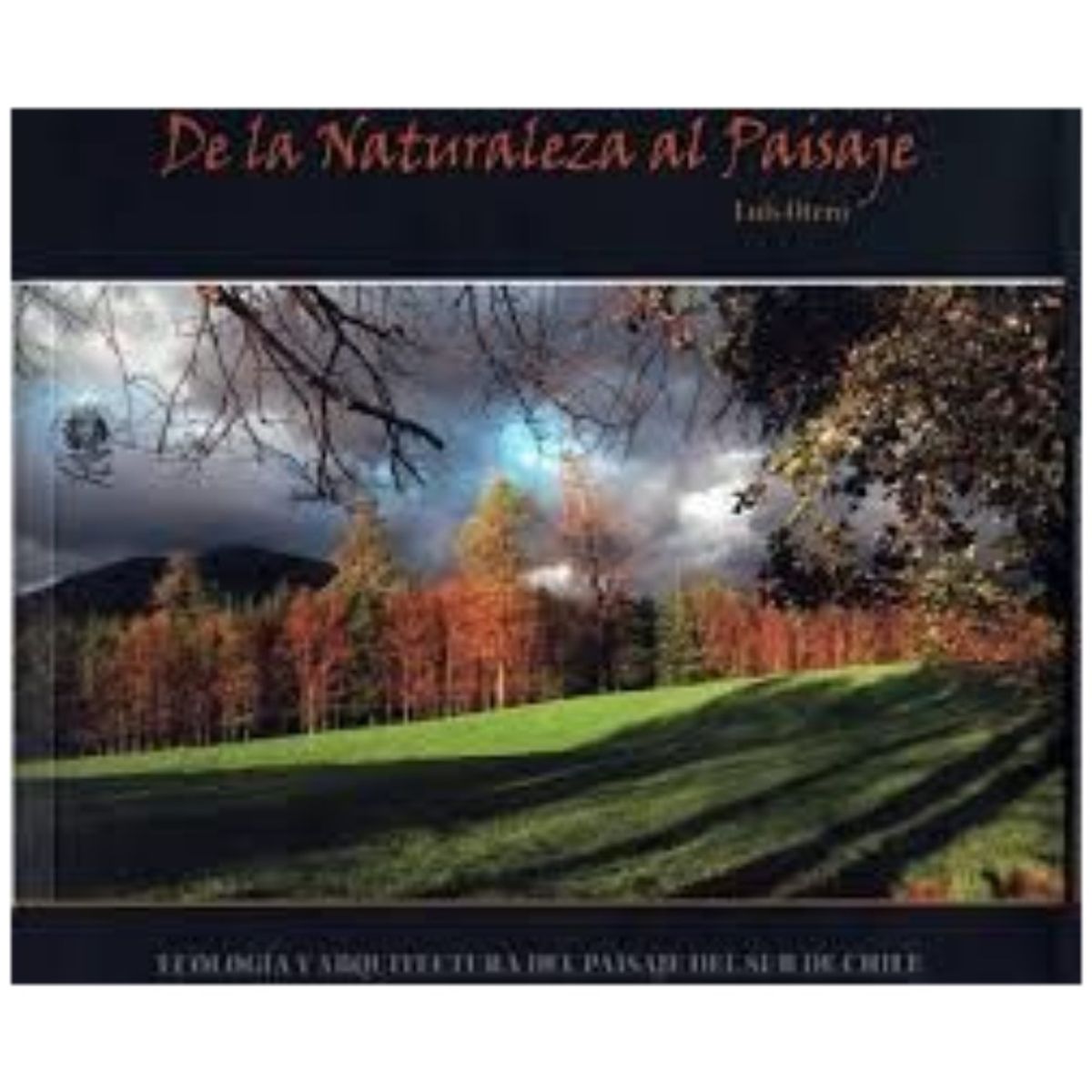 TOP10BOOKS - LIBRO De La Naturaleza Al Paisaje - De La Naturaleza Al Paisaje