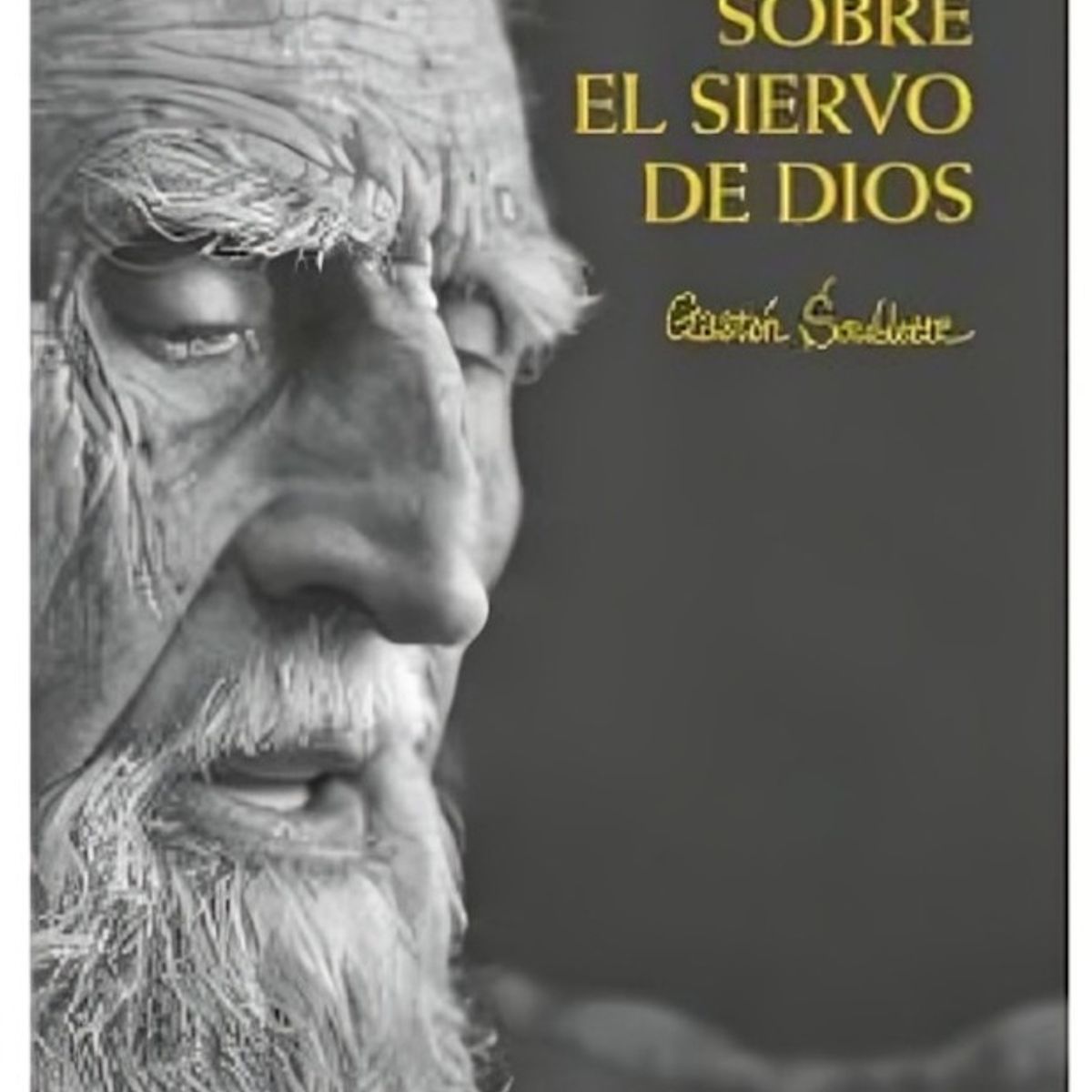 TOP10BOOKS - LIBRO Miradas Sobre El Siervo De Dios - Miradas Sobre El Siervo De Dios