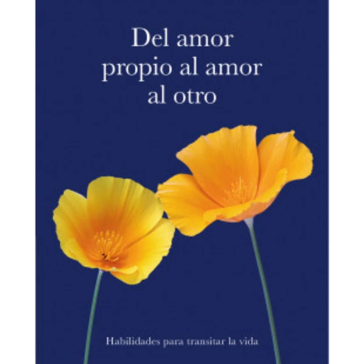 TOP10BOOKS - LIBRO Del Amor Propio Al Amor Al Otro - Del Amor Propio Al Amor Al Otro