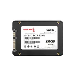 GREAT WALL - Disco Dure SSD 256GB 25Inch SATA GW600