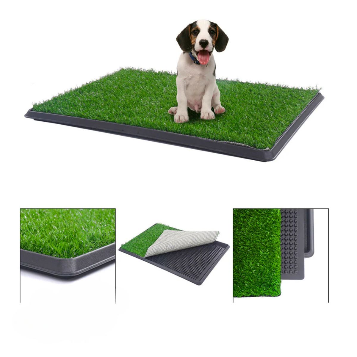 MOVI - Baño para mascotas XL Entrenamiento limpio y sin estrés