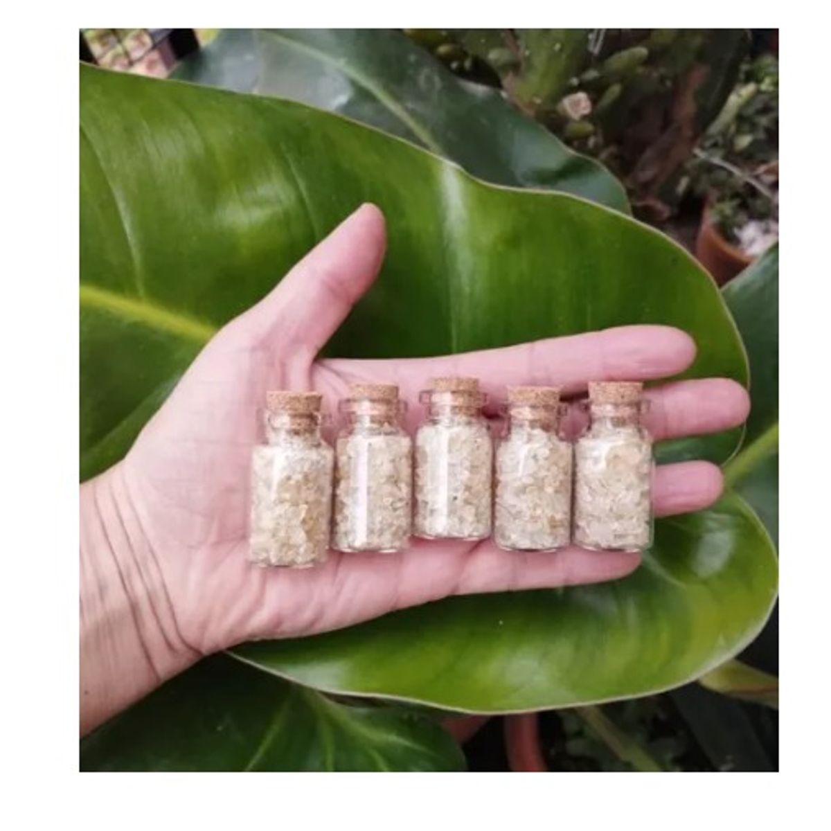 GENERICO - Botella De Vidrio Energética Con Piedra Citrino Unidad