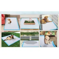 GENERICO - Pack 40 Sabanillas De Entrenamiento 60x60 Desechables